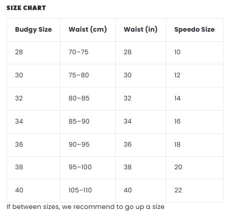 Pickleball Sydney Men’s Swimwear